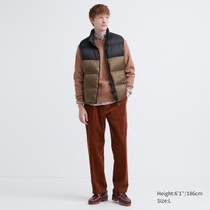 Uniqlo Ultra Light Down Vest Herre Brune | ATFQOV-075