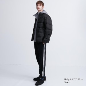 Uniqlo Ultra Light Down jackets Herre Sort | LAJGER-807